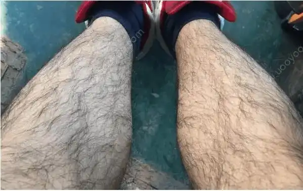 陈晨科普为什么有的男人会长胸毛