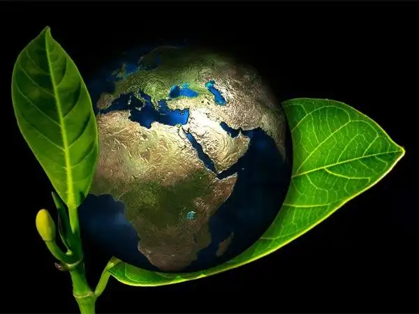 ecology and environment