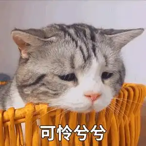 可怜兮兮狗狗猫咪可爱呆萌搞笑gif动图_动态图_表情包下载_soogif