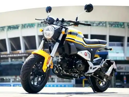 国产复古街车,125cc引擎 led 4速,续航400公里