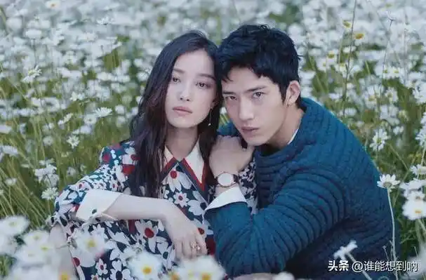 分手6年后,再看井柏然境遇,才发现他和倪妮原来不是"一路人"