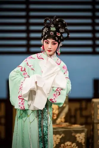 祝英台女装扮相