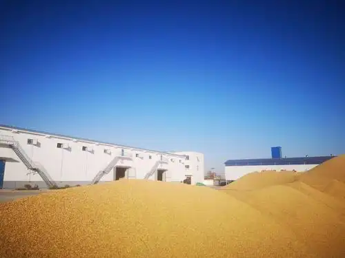 柏各庄蟹田新米,现磨现卖,新鲜放心!