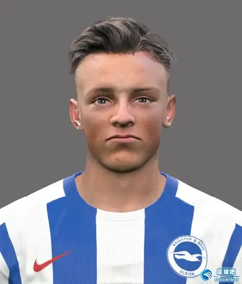 pes2017布莱顿霍夫6人脸型包