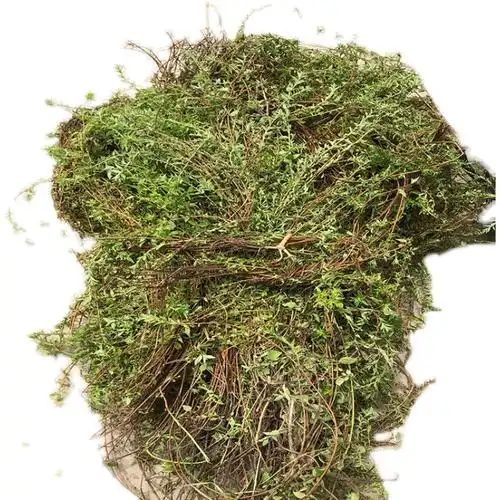 今年自晒雾水糯米拔脓地清散脓中草药500克包邮其他药食同源食品