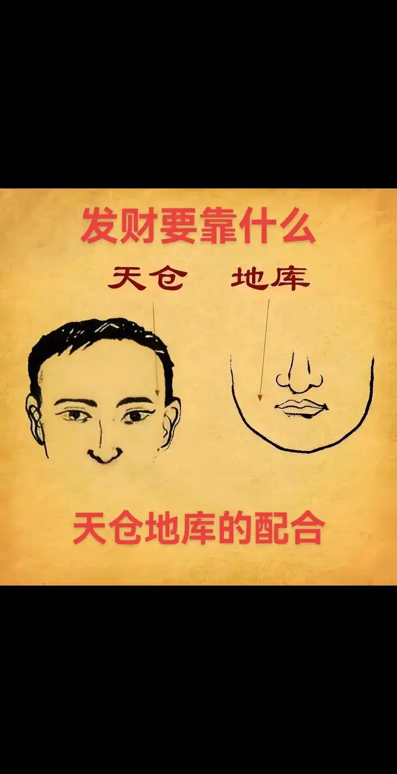 除了颧骨相配之外,天仓和地库,够丰隆平满者,同样可以富有.