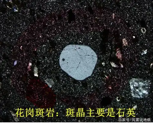 铁镁矿物含量相对较高:可>15%,以角闪石和黑云母为主,可出现辉石岩石