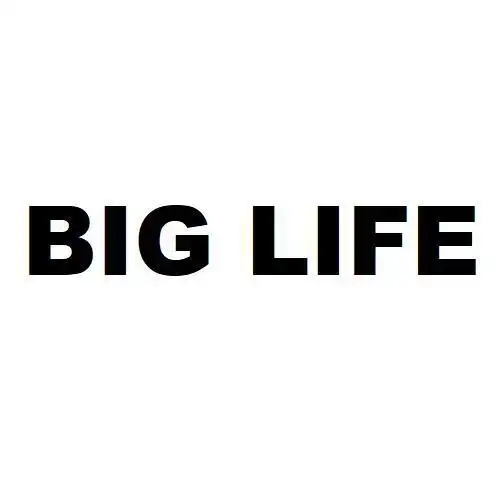 big life