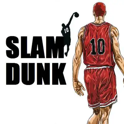 那运球的姿势,流川枫犀利的眼神,樱木倔强的身影,当然还有三井寿投篮