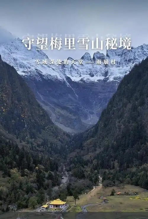 米雪山神女峰,消防连夜搜寻救出|迪庆|登山|雨崩村|德钦县_网易订阅