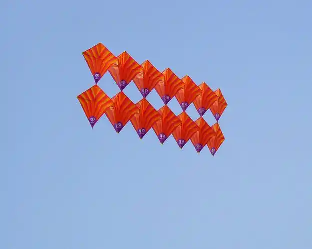 供应双菱风筝(图)