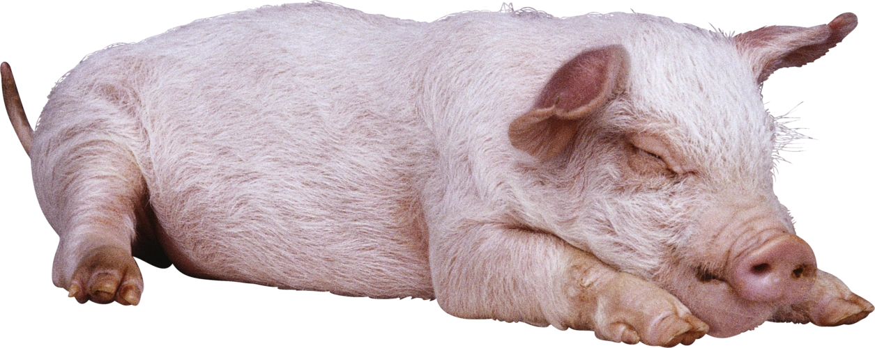 查看大图(源图)