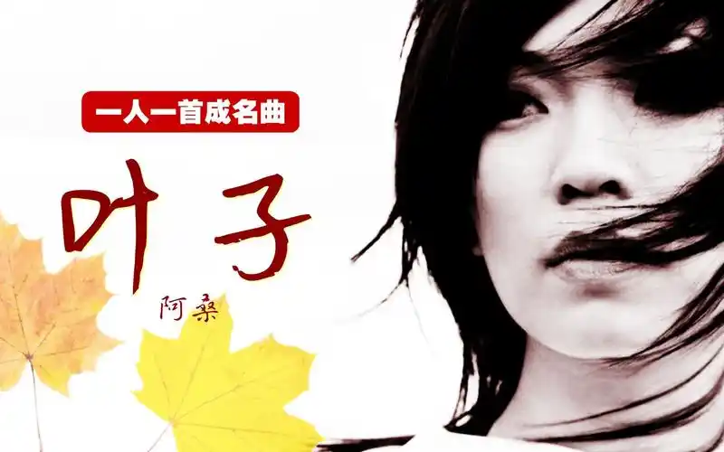 一人一首成名曲:沧桑的磁性嗓音令人伤感 阿桑《叶子》