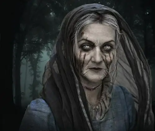 冰与火之歌中艾莉亚的冰原狼娜梅莉亚都经历了什么