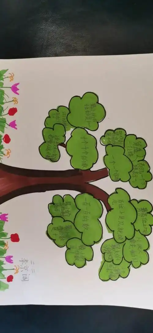 画数学知识树,让学生心中更有数!