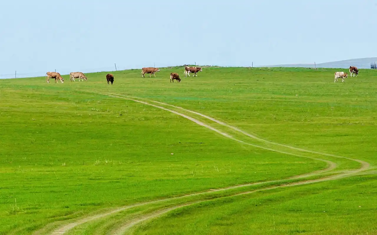 无边无际的草原风光高清桌面壁纸下载高清大图预览其它尺寸_风景壁纸