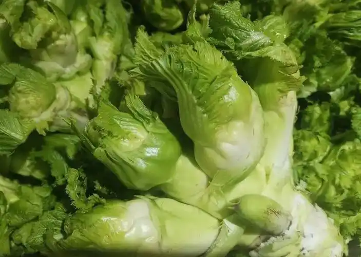 羊角菜怎么做好吃 羊角菜的做法大全