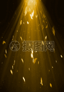 金色羽毛唯美背景图片素材