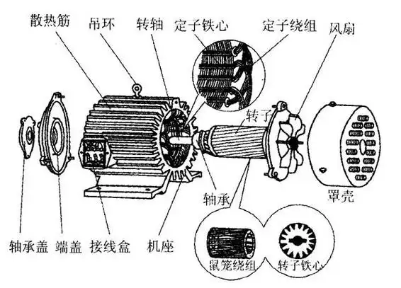三相异步电动机的维护毕业论文