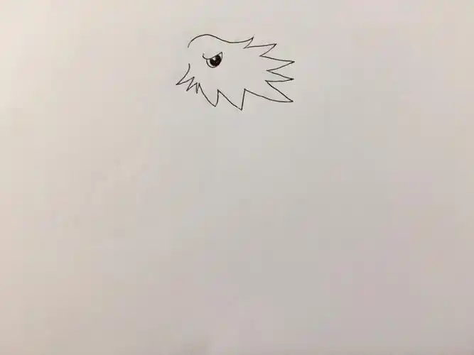 国徽简笔画(白头海雕)