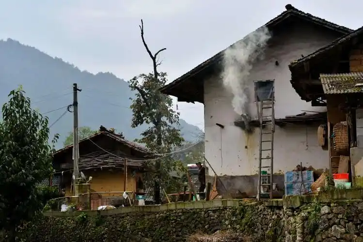 乡村印象,秋收,秋景 - 美篇