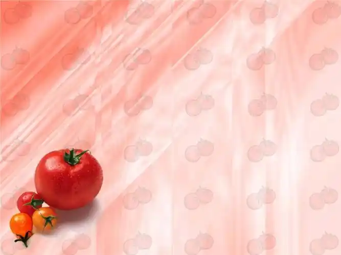 西红柿主题背景.ppt