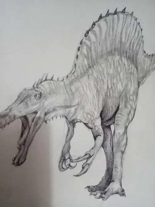 恐龙素描画图片 恐龙素描画图片大全霸王龙