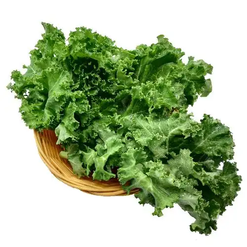 羽衣甘蓝500g新鲜蔬菜沙拉菜叶杜丹绿叶花包菜kale日天生鲜可开发票