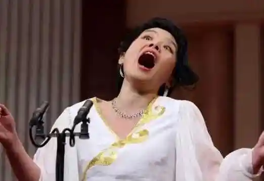 忐忑简谱  龚琳娜  这首神曲为何我们听不懂,也唱不了8