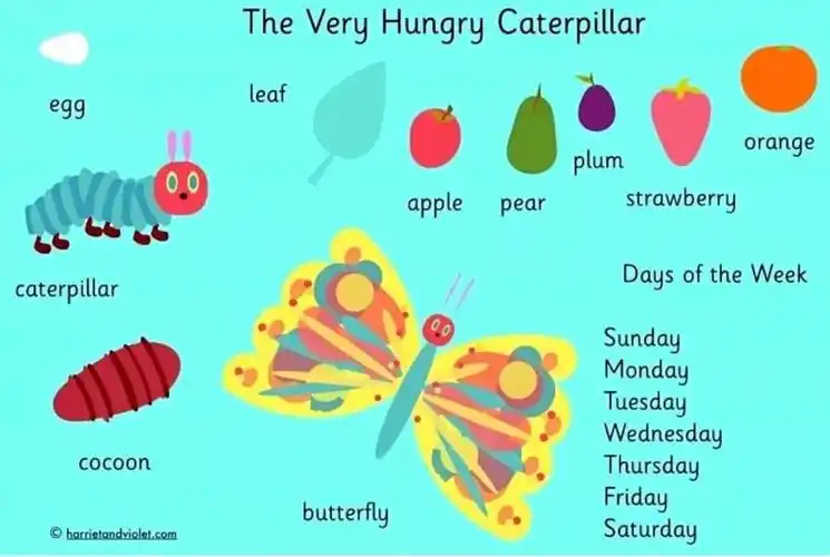 the very hungrycaterpillar好饿的毛毛虫