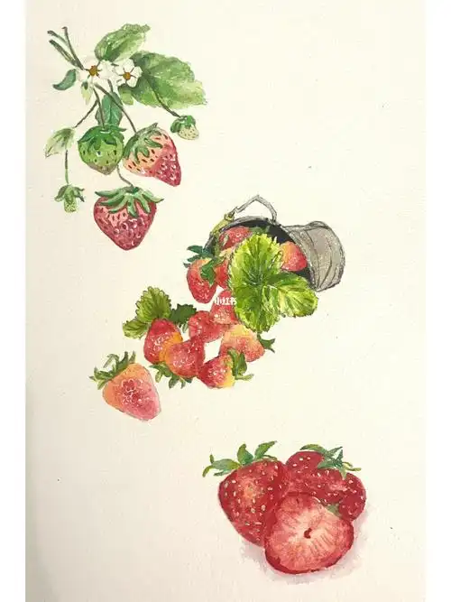 想要实现草莓91自由哇#画画  #水彩  #草莓  #水彩画  #寻找小红书