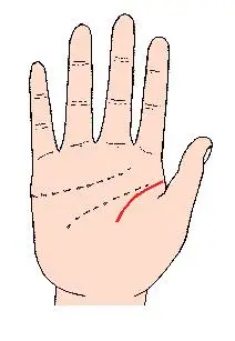 教你怎么看手相图解手相算命图解大全