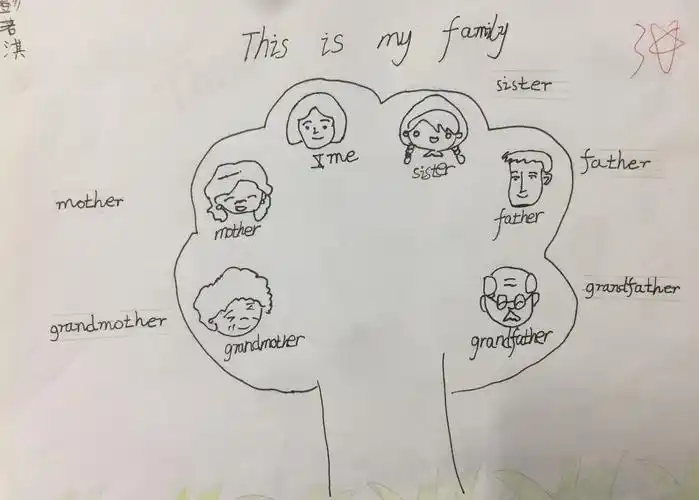 familytree怎么画手抄报怎么画手抄报