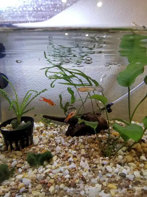 文艺性存在的意义