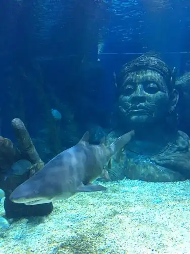 曼谷暹罗海洋世界