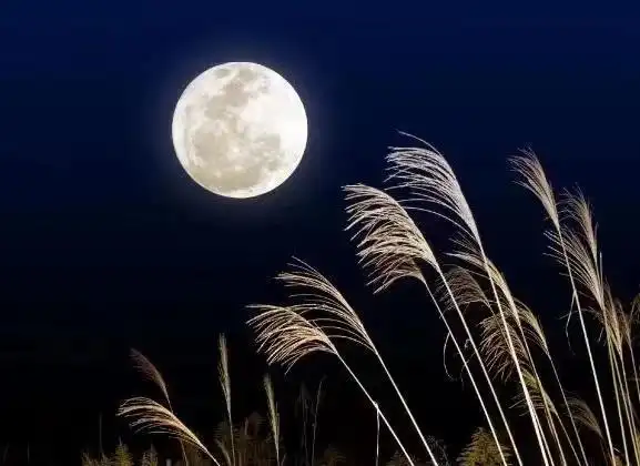 陆黎君那一轮圆月亮心香文艺