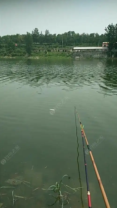 易县旺隆水库溜达溜达