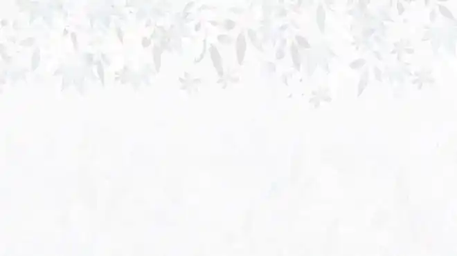 九张淡雅水墨中国风ppt背景图片