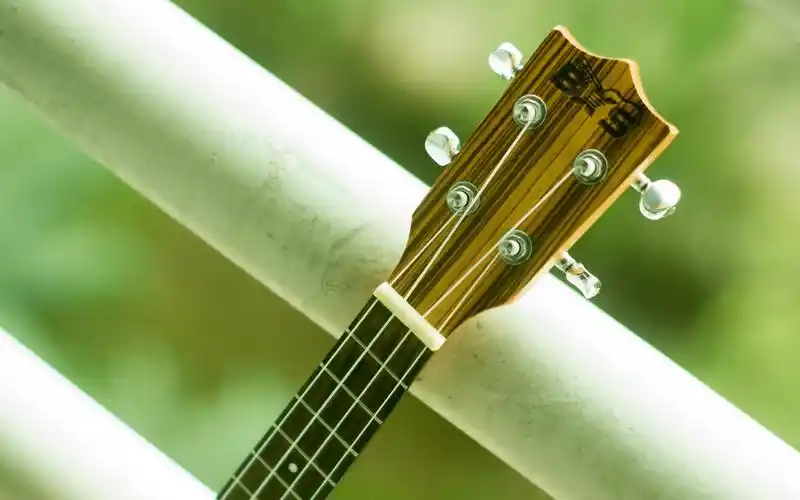 乐器,尤克里里,乌克丽丽,ukulele,壁纸乌克丽丽乐器桌面壁纸