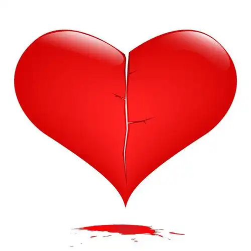 破碎的心,破碎的心被隔绝在白色