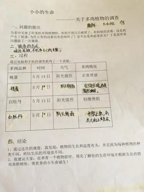 我是多肉的好朋友