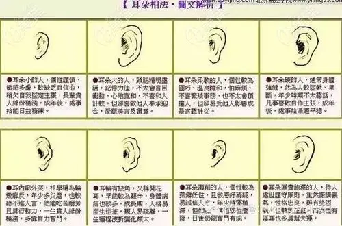 耳垂有点薄想变厚一点,选较好的丰耳垂整形手术多少钱