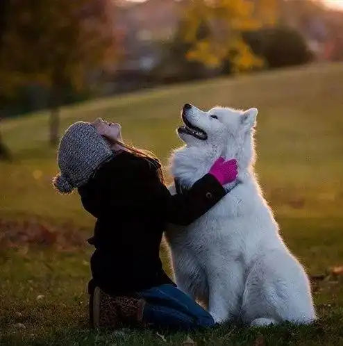 狗狗陪伴下长大的人,童年一定很甜