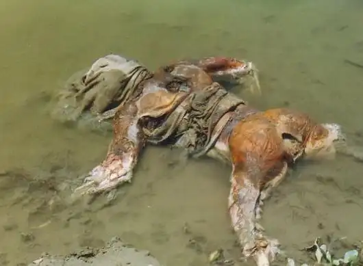 湖北水库现浮尸1年半前溺亡尸体已高度蜡化