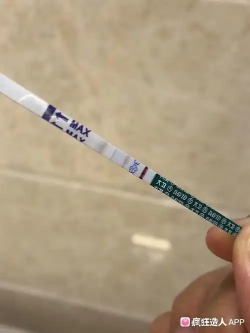 10月4日排卵,大卫试纸弱阳