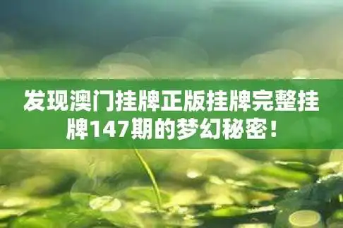 发现澳门挂牌正版挂牌完整挂牌147期的梦幻秘密
