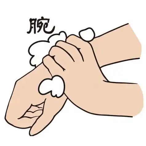 七步洗手法?到底哪个才正宗