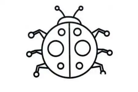 手工专题七星瓢虫简笔画