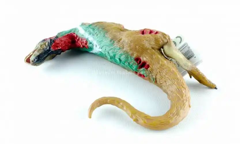 collecta恐龙 我你他仿真感恐龙模型动物玩具霸王龙暴龙剑龙腕龙尸体