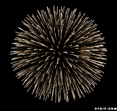 烟花绽放美丽礼花gif动图_动态图_表情包下载_soogif